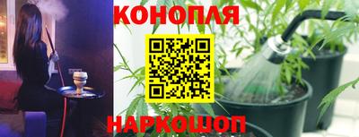 эйфоретик Краснодар