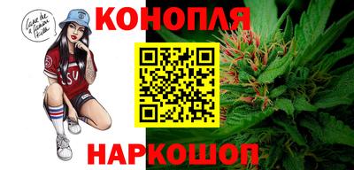 индика Краснознаменск