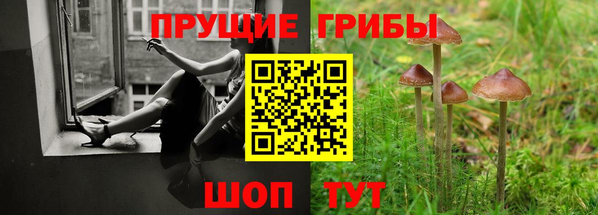 Корсаков  Псилоцибиновые грибы Magic Shrooms  Галлюциногенные грибы GOLDEN TEACHER  купить наркотик  Вход с VPN 