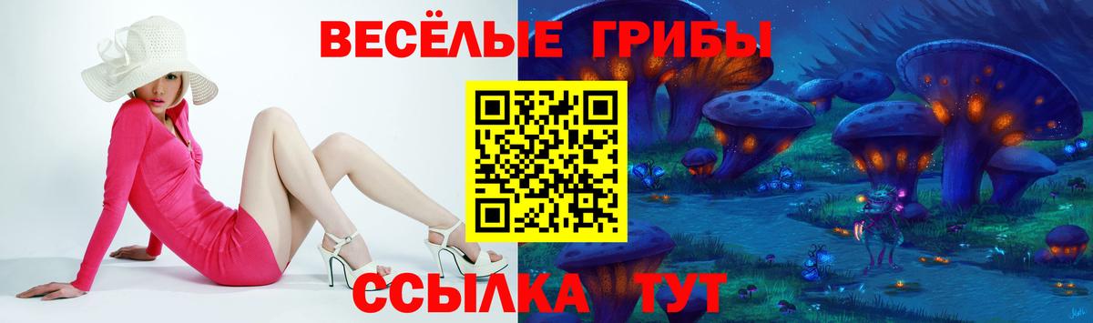 Псилоцибиновые грибы ЛСД Корсаков